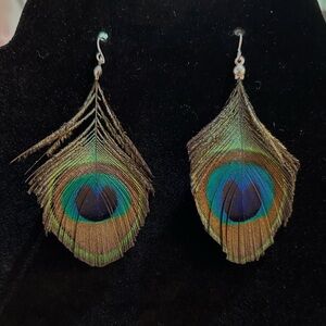 Peacock feather earrings